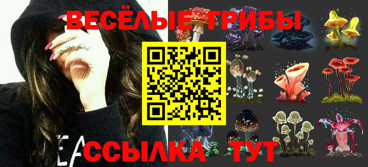 Галлюциногенные грибы мицелий  Псилоцибиновые грибы Magic Shrooms  где продают   Вход с VPN  Ачинск 